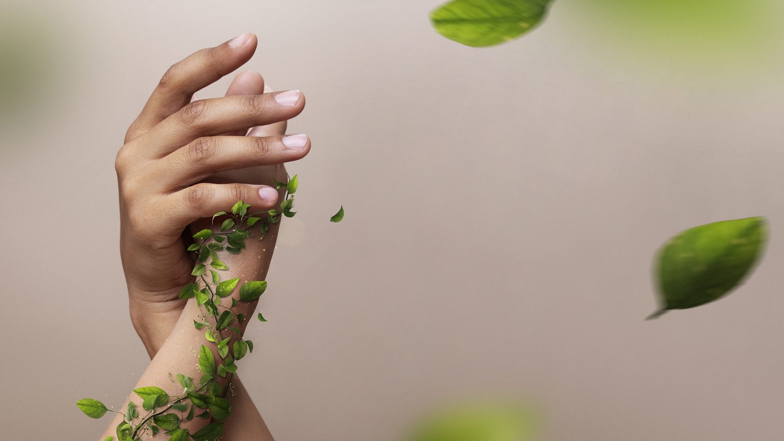A hand surrounded by fresh green leaves
